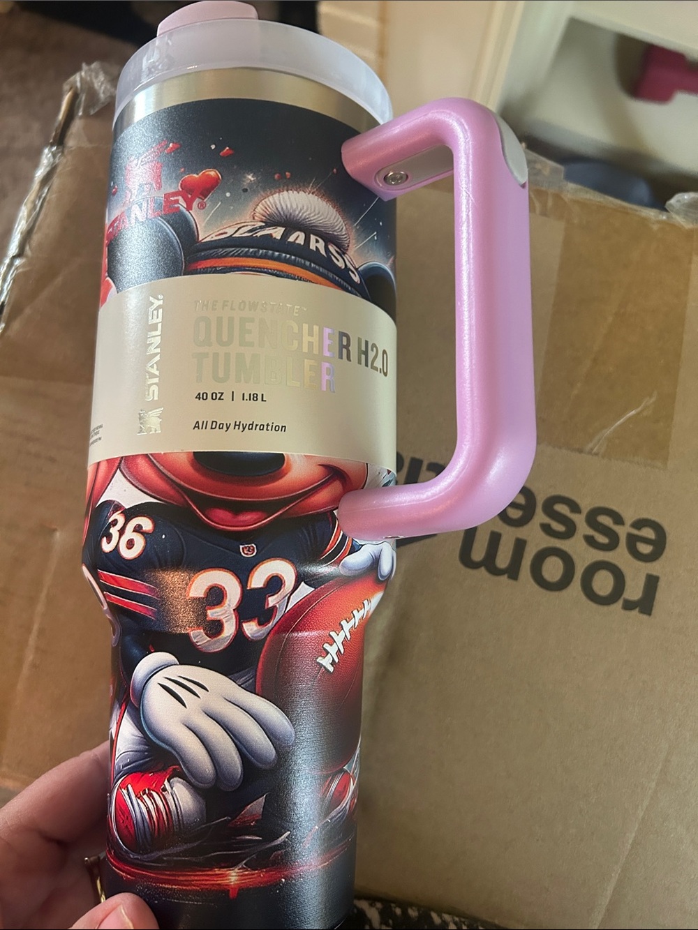 Stanley Mickey Mouse new